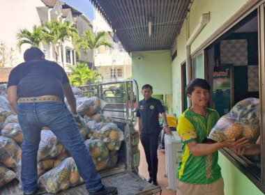 สำนักงานสหกรณ์จังหวัดเชียงรายกระจายผลผลิตสับปะรดภูแลออกนอกพื้นที่การผลิต ... พารามิเตอร์รูปภาพ 12